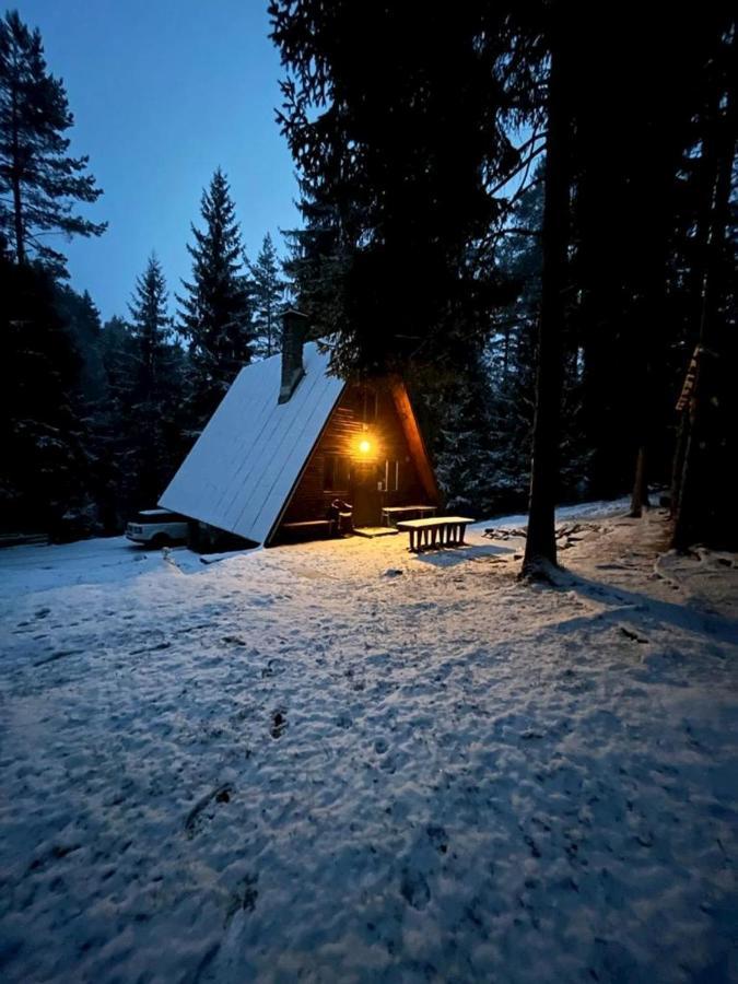 Chalet V Lese *