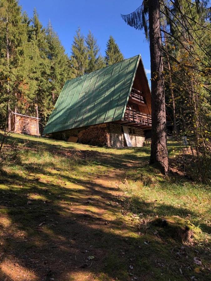 Chalet V Lese